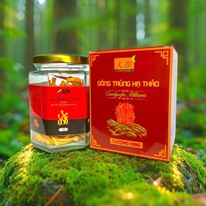 Đông trùng hạ thảo KAN Foods M10 - Hình ảnh 3