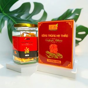 Đông trùng hạ thảo KAN Foods M10